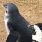 monaural さんのプロフィール写真